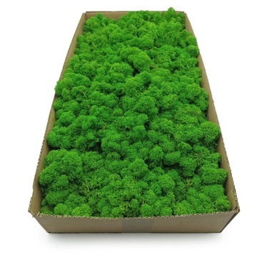 MECH CHROBOTEK Fiński OCZYSZCZONY 2kg NETTO LETNI