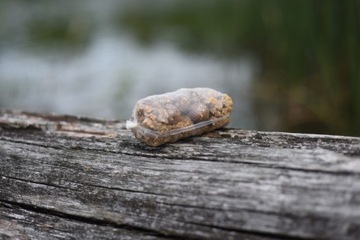 ПОДКАРП ПВА-МЕШКИ 140ММХ85ММ