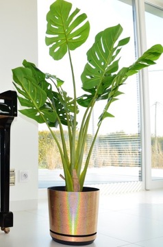 ДЕКОР диаметр цветочного горшка 16 см цвет лунный свет