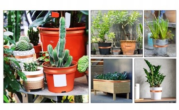 ЛЕНТА САМОКЛЕЯЩАЯСЯ МЕДНАЯ УЛИТКА 3 СМ×30 М