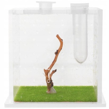 Jumping Spider Box Контейнер для разведения улиток.