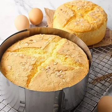 Flashworms Confectionery Band High Rim 20 см. Регулируемый 16-30 см.