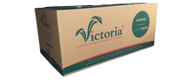 Мокрая цветочная губка Victoria