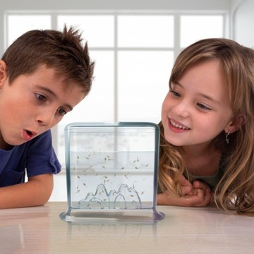 ВОДНЫЕ ДРАКОНЫ ПОДВОДНЫЙ МИР ВОДНЫЕ ДРАКОНЫ КВАРИУМ РАЗВИВАЮЩАЯ ИГРУШКА 4000