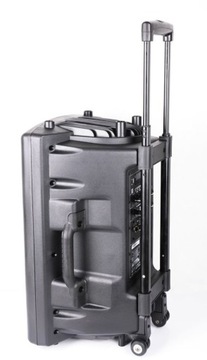 Мобильная колонка Ibiza PORT12VHF-BT 350 Вт черная (Bluetooth)