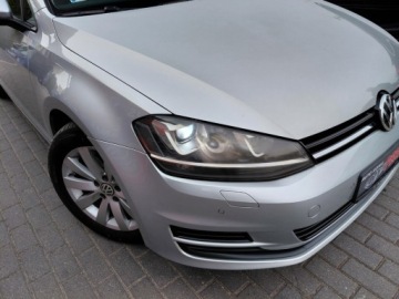 Volkswagen Golf VII Variant 1.6 TDI CR DPF BlueMotion Technology 105KM 2014 Volkswagen Golf Salon Polska Bezwypadek Klimatyzacja 2x PDC Alu 1.6 Diesel, zdjęcie 3