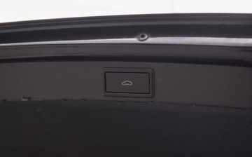 Skoda Octavia III Kombi Facelifting 2.0 TDI 184KM 2019 Skoda Octavia SCOUT 2.0Tdi 184Ps 4x4 Automat Ledy Navi Bixenon Alkantara E, zdjęcie 31