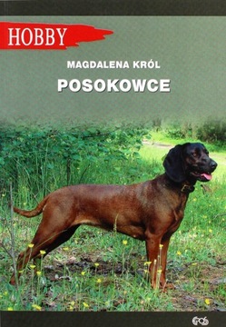 POSOKOWCE - Magdalena Król (KSIĄŻKA)