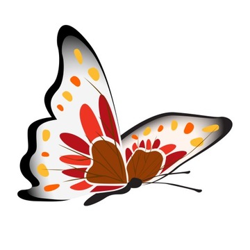 Naprasowanka Motyl Termo Naklejka Aplikacja do 20cm