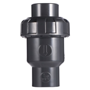BEACH CHECK VALVE LLWL