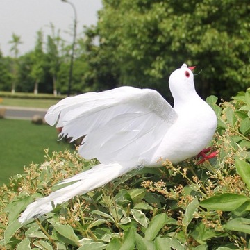 Мирный голубь, имитация белого голубя D