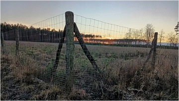 СЕТКА ЗАБОРА ЛЕСНАЯ СТРОИТЕЛЬСТВО 100 см 50 м G6
