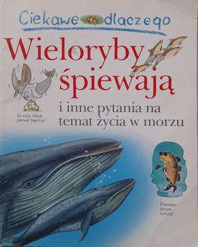 Ciekawe dlaczego wieloryby śpiewają. Caroline Harris
