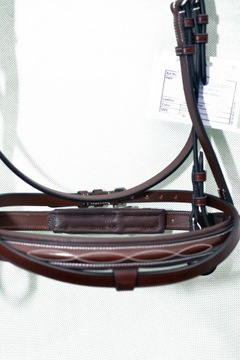 Профилированная анатомическая команда полна