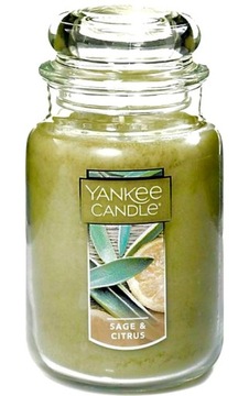 YANKEE CANDLE świeca duża SAGE & CITRUS 623g