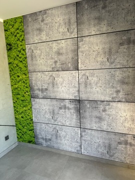 Декоративная стеновая панель Мох Мох 100х50 см архитектурный бетон