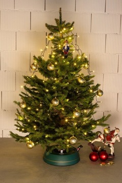 Световая завеса из 300 светодиодов для елки.