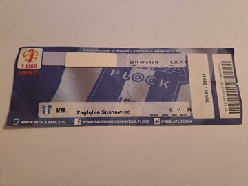 WISŁA PŁOCK - ZAGŁĘBIE SOSNOWIEC 22-11-2015