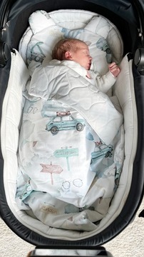 Амбушюры для коляски Малыш путешествует по миру.