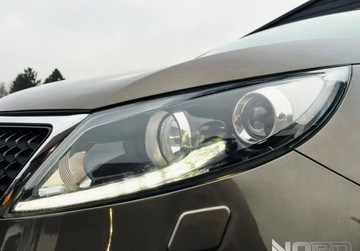 Kia Sportage III SUV Facelifting 1.6 GDI 135KM 2014 Kia Sportage Bezwypadkowy, FV23, wersja XL KredytowanieLeasing, gw.12m get, zdjęcie 10