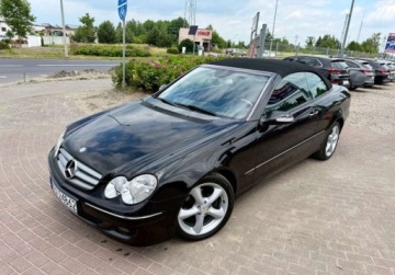 Mercedes CLK W209 Cabrio A209 1.8 (200 Kompressor) 163KM 2005 Mercedes-Benz CLK 1.8 i KLIMA STAN Kolekcjonerski Hit 1.8 Benzyna 163KM, zdjęcie 6