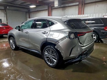 Lexus NX II 2024 Lexus NX 350 Luxury 2024 2.4 Benzyna 275KM, zdjęcie 1