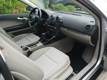 Audi A3 8P Hatchback 3d 1.9 TDI 105KM 2007 Audi A3 1.9 TDI 105KM Klima Elektryka Po wymianie, zdjęcie 18