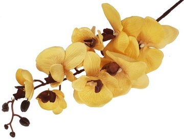 DUŻA GAŁĄZKA STORCZYK 107cm kwiaty ORCHIDEA