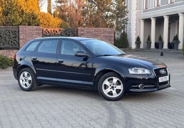 Audi A3 8P Hatchback 3d 1.4 TFSI 125KM 2010 Audi A3 Sportback 1.4B 125Ps Ledy Bixenon Klimatyzacja BEZWYPADKOWA 1 Wlas, zdjęcie 13
