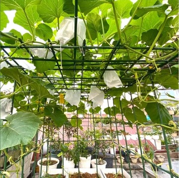 Tyczka do Pomidorów Roślin Kwiatów 10 szt 1,1x180cm Stal Powlekana