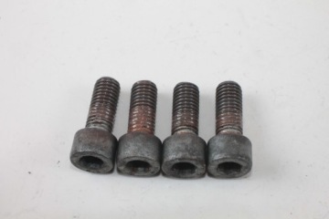 ВИНТЫ СУППОРТА ПЕРЕДНЕГО ТОРМОЗА BMW R 1100 GS