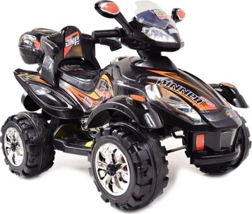 WINNER ELECTRIC QUAD 4 МЕХАНИЗМЫ 2 ДИСТАНЦИОННЫХ ДВИГАТЕЛЯ