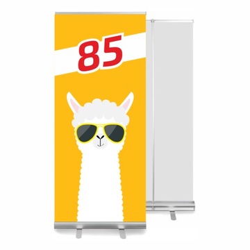 ROLL UP STANDARD PROJEKT GRATIS JAKOŚĆ 85x200cm