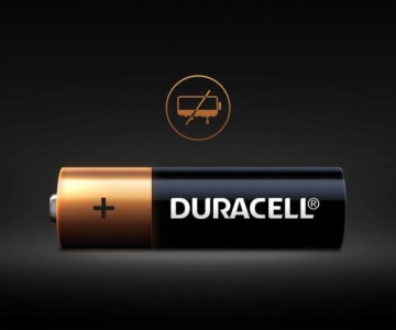 10 щелочных батареек Duracell AA LR6