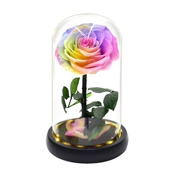 Zachowany kwiat w szklanej kopule Prezenty na Walentynki kolorowe