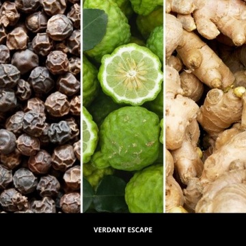 Рефилл Millefiori 250мл VERDANT ESCAPE