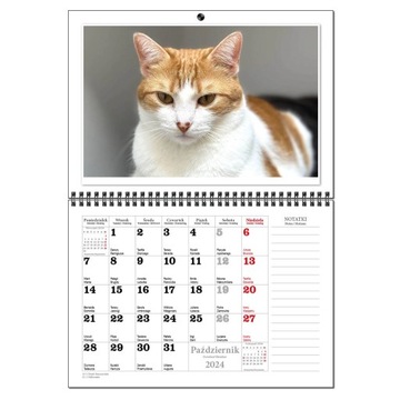 Календарь 2024 настенный планировщик А3 13 досок CATS