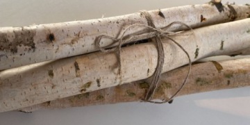 Березовые палочки, колышки, ветки, набор 5 шт.