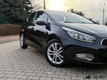 Kia Ceed II pro_cee´d 1.6 GDI 135KM 2013 Kia Ceed 1.6 GDI 135 KM 1.6 Benzyna 135KM, zdjęcie 19