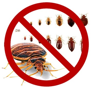 ПРЕПАРАТ ОТ КЛОПОВ В ПОСТЕЛИ, НАТУРАЛЬНЫЙ БЕЗ ХИМИИ, ЭФФЕКТИВНЫЙ ОТ КЛОПОВ 1Л