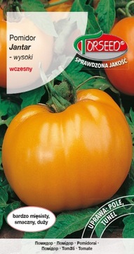 Pomidor Jantar żółty nasiona 0,2 g Torseed