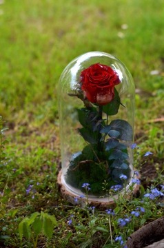 Светодиодное освещение для Eternal Rose M,L,XL MOTHER'S DAY