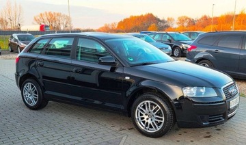Audi A3 8P Hatchback 3d 1.6 102KM 2008 Audi a3 1,6 MPI 102 km 1.6 Benzyna 102KM, zdjęcie 17