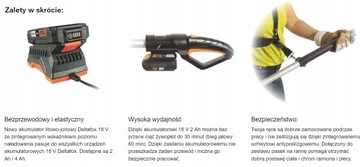 Кусторезы Grizzly STRONG Deltafox DG-CHT 1845 СТРЕЛА + 2 АККУМУЛЯТОРА