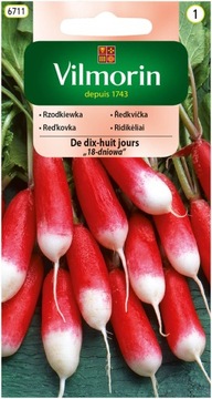Rzodkiewka De dix-huit jours 18-dniowa VILMORIN