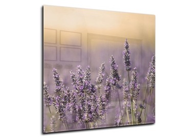 dekor szkło panel hartowany HD 55x55 lawenda