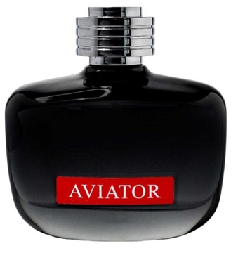 Paris Bleu AVIATOR FLAYBACK EDITION 100ml EDT