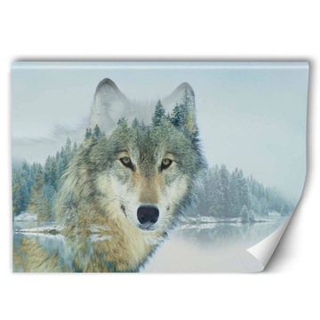 Fototapeta Wilk i jezioro 400x266 +KLEJ GRATIS