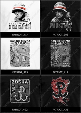 патриотическая историческая футболка Польша NSZ WZORY Памятник «Правда и Память»