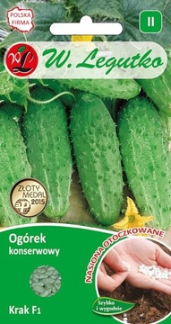 OGÓREK GRUNTOWY KRAK NASIONA 50SZT OTOCZKA JAK TAŚMA